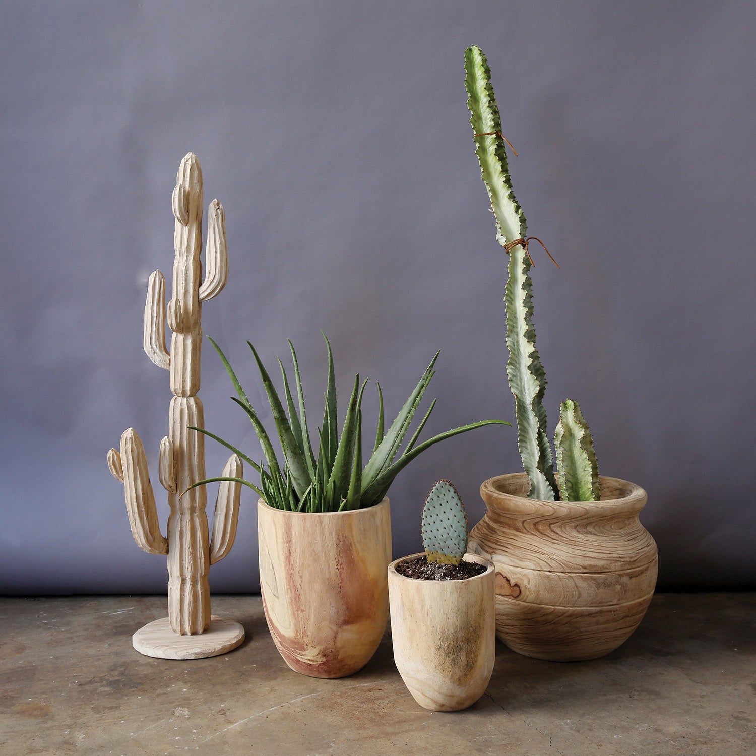 Two rounded Paulownia wood pots, one smaller and one larger, with a natural wood finish displaying beautiful wood grains.